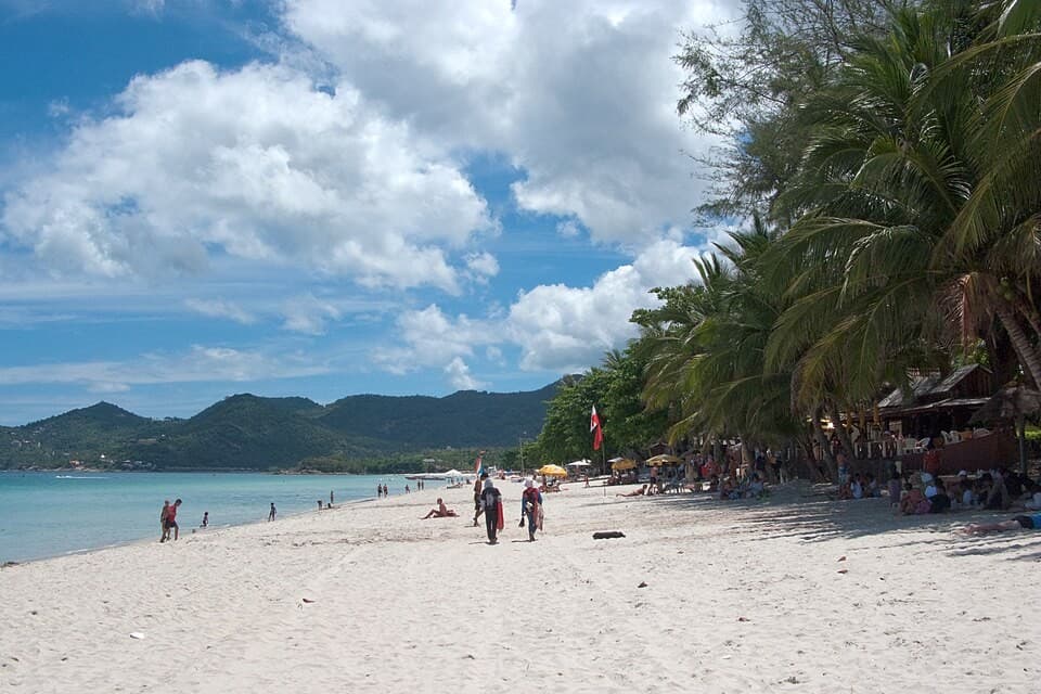Koh Samui Raid Uncovers 60 Illegal Nominee Firms