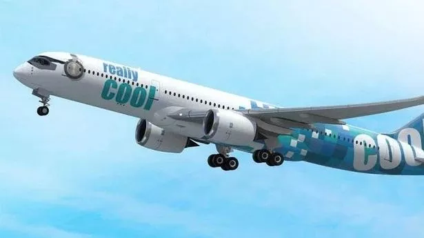 1 Company Looks To Launch Airline Called Really Cool Airlines .webp