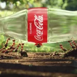 Coca-Cola targets Thai plastic waste