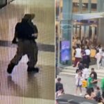 Shoppers flee mall as gun shots ring out