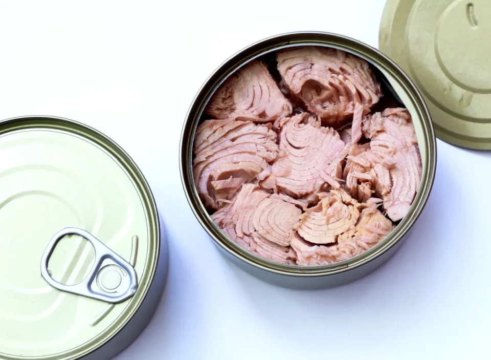 Thailand Leads Global Canned Tuna Market with a 19% Increase in Export Volumes