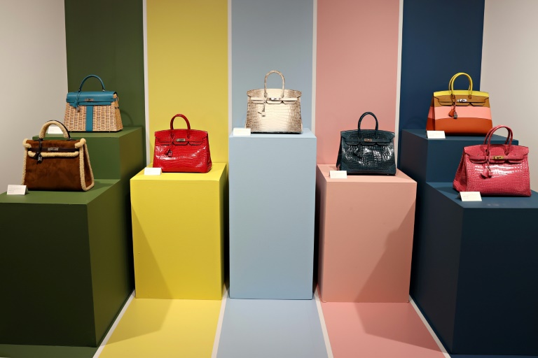 Most Expensive Birkin Bag in the World Sells for $10 Million in Paris