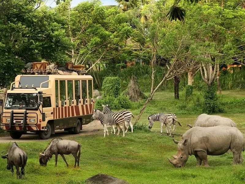 Safari World Bangkok: Family Adventure with Wildlife in 2025