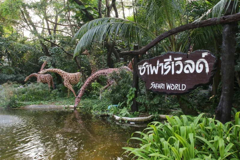 Safari World Bangkok: Family Adventure with Wildlife in 2025