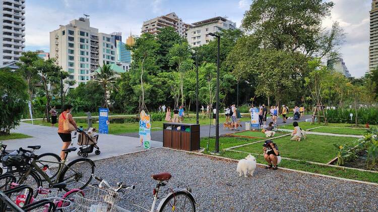 Benjakitti Dog Park Bangkok Guide for Pet Owners