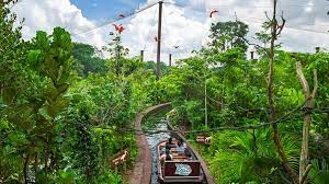 Safari World Bangkok: Family Adventure with Wildlife in 2025