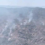 forest fires bangkok one Feb 26 2024