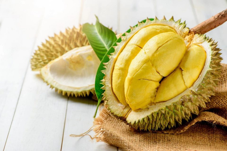 Durian exports to China resumes on Monday