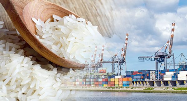 Rice export companies forecast increased prices in second quarter of the year.